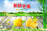 大自然芒果