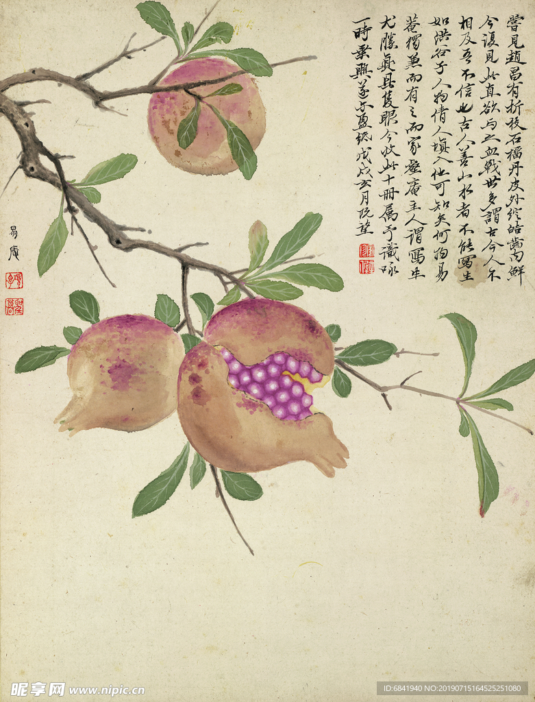 明朝项圣漠 花卉图五卷