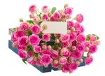 鲜花