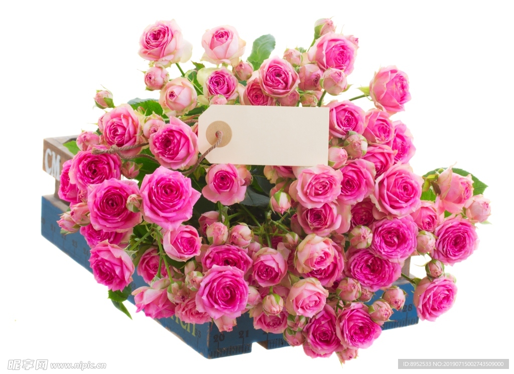 鲜花