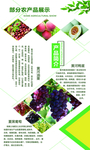 鸭蛋栗子葡萄特产宣传海报土特产