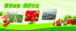 草莓生态海报展架