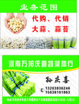 大蒜蒜苔名片