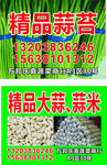 大蒜 蒜苔标签