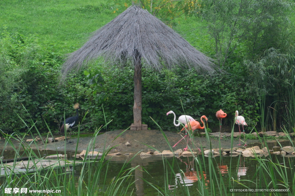 动物园风景