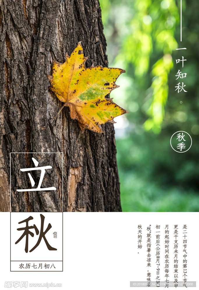 立秋