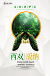 西双版纳旅行海报设计