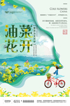 油菜花节宣传海报
