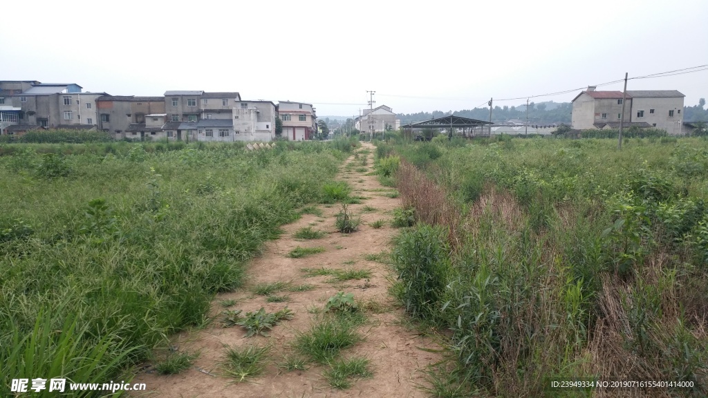 乡村小路