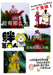 减肥励志图