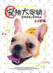 可爱宠物促销海报