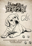 宠物之家设计海报