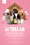 粉色创意宠物店铺海报