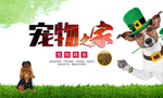 暖心宠物到家宠物海报