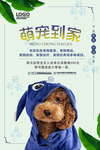 可爱萌宠到家设计海报