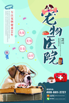 宠物医院海报