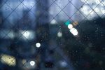 雨·