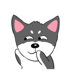 猫 哈宝宝 猫 萌猫 萌宠