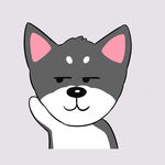 猫 哈宝宝 猫 萌猫 萌宠