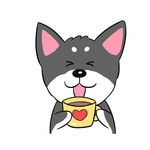 猫/哈宝宝