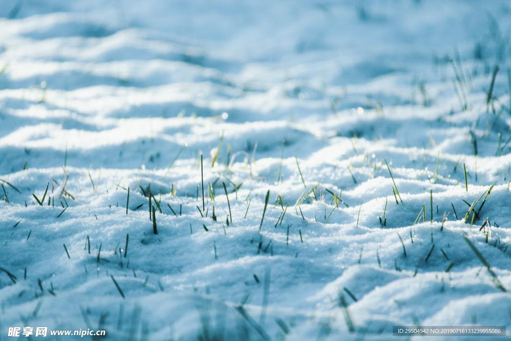 雪地