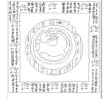 花纹