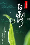 白露海报