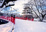 景区雪地美景
