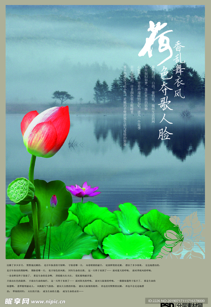 荷花
