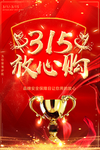 315大气红色海报