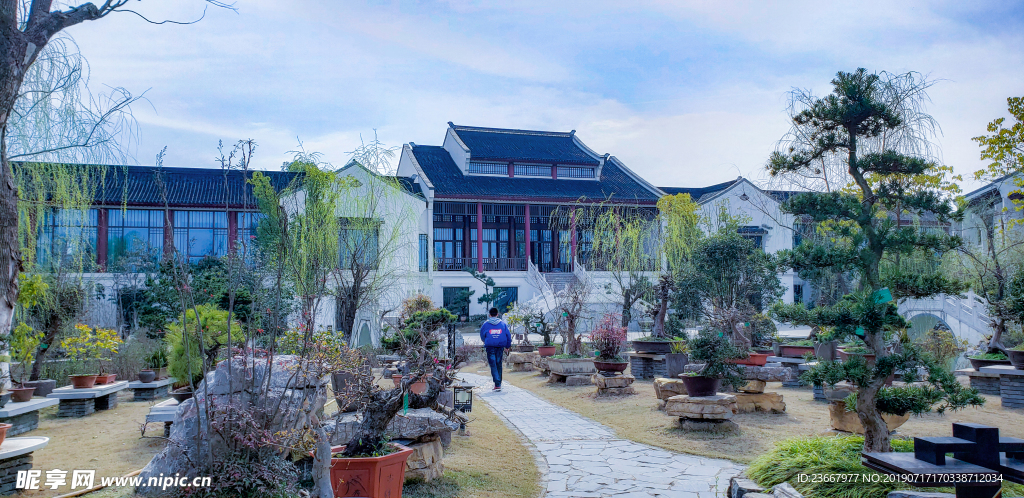 风景