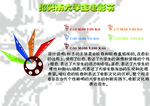 大学生电影节