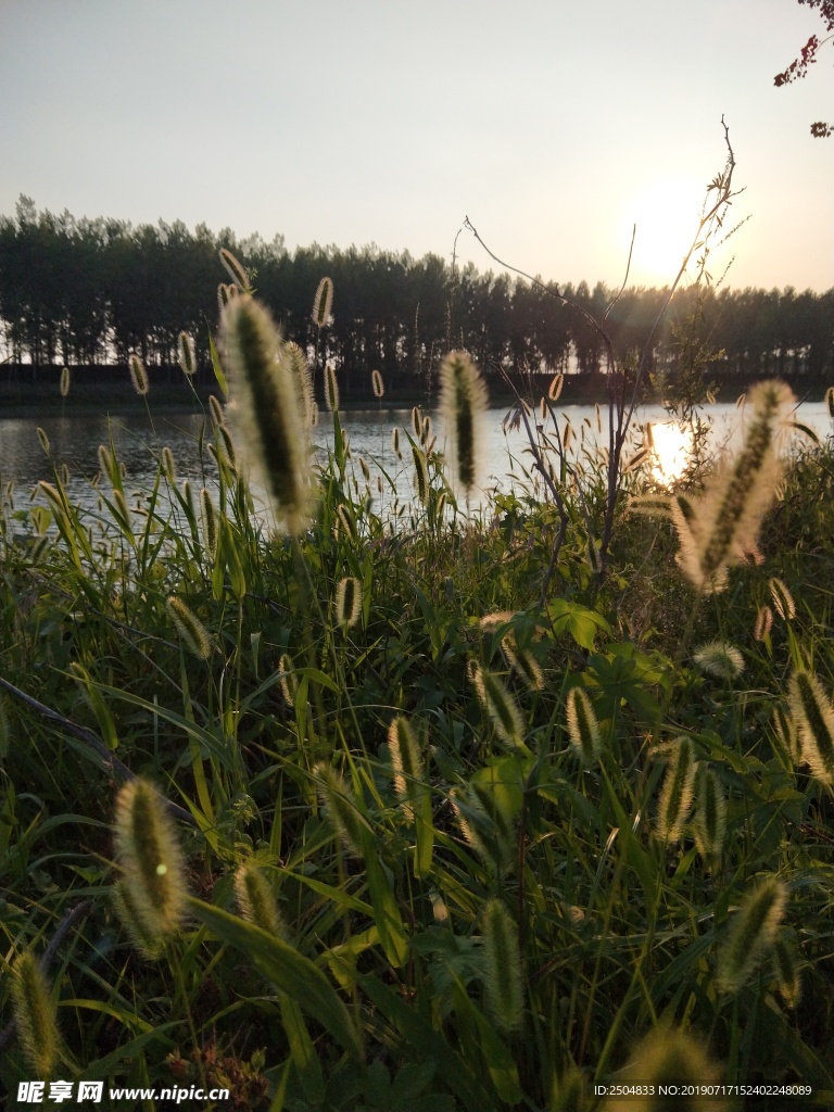 风景