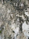 地板 水泥地 混凝土纹理 素材