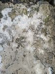地板 水泥地 混凝土纹理 素材