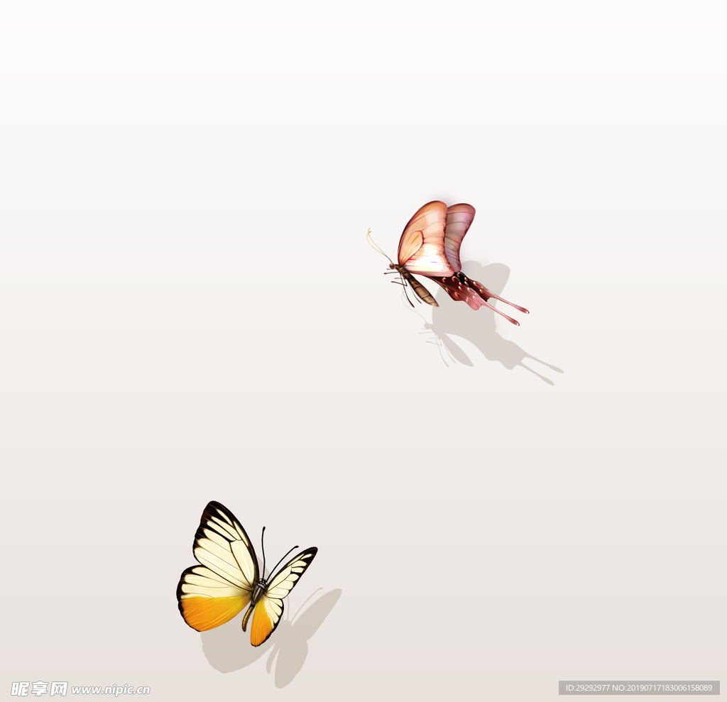 蝴蝶