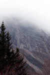 山