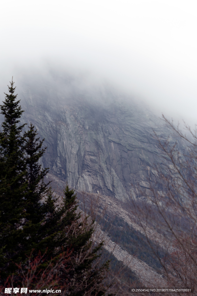 山