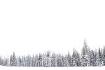 雪