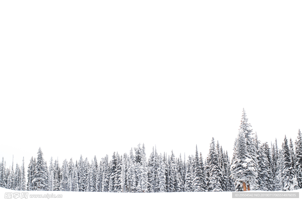雪