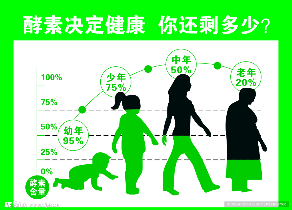 不同年龄酵素含量图