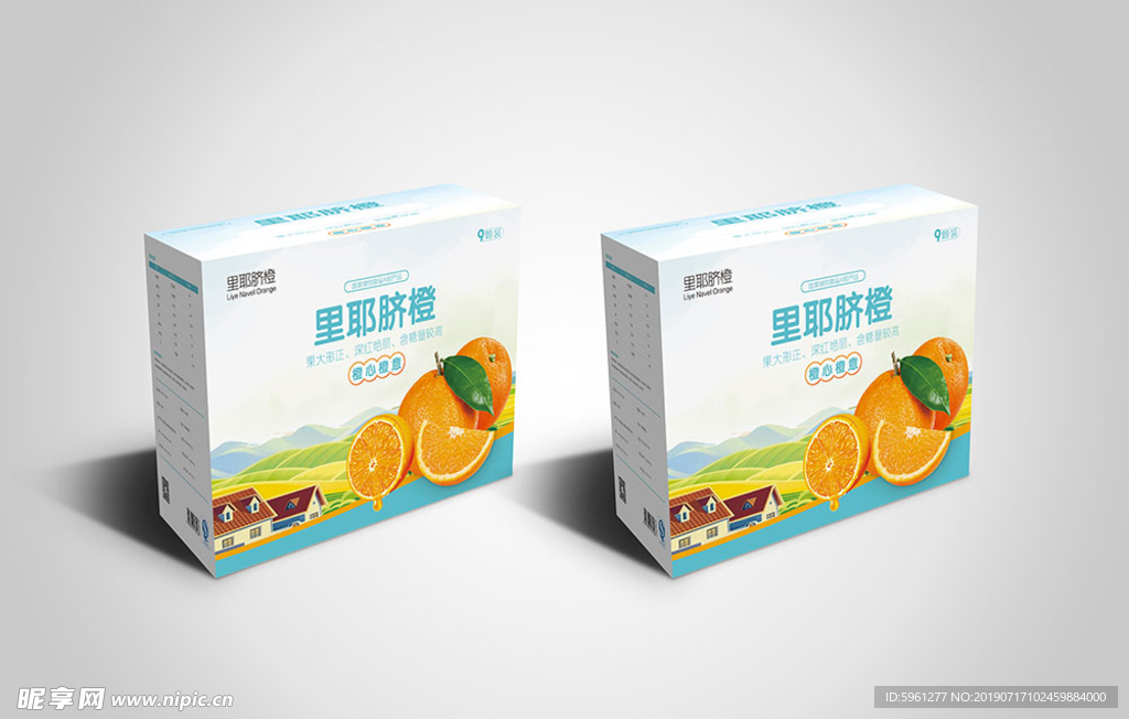 包装设计平面图