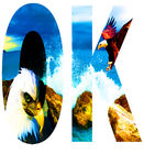 OK鹰