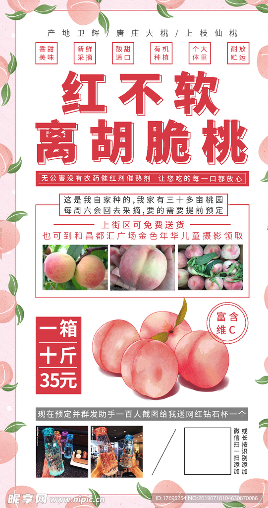 离胡脆桃海报