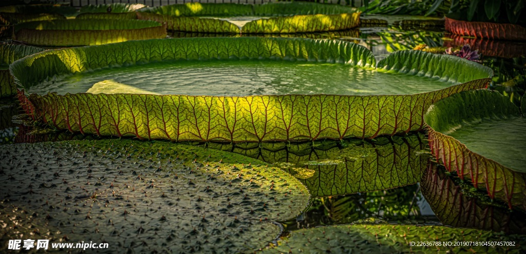 自然风景图片