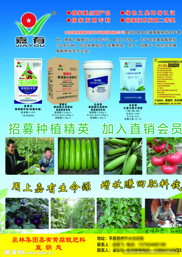 嘉有