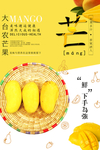 芒果冷饮夏日海报