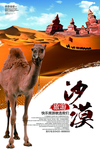 沙漠旅游海报