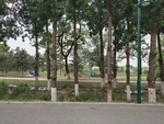 公园景观