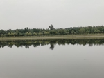 湿地公园